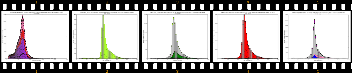 raw_read_lengths_A-side_1