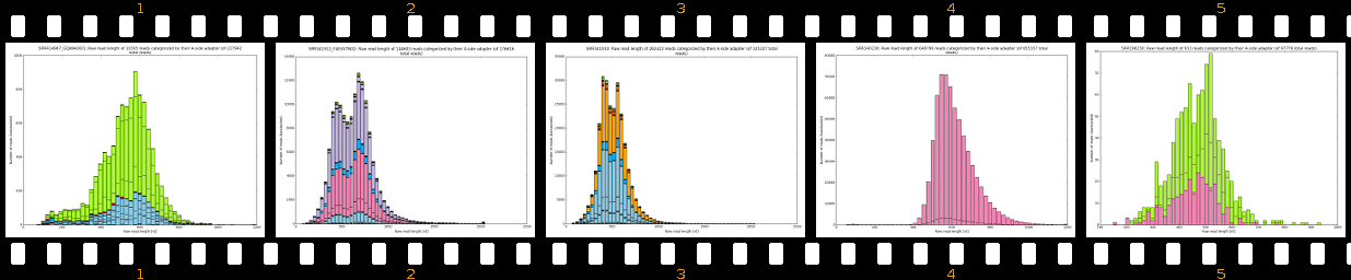 raw_read_lengths_A-side_2