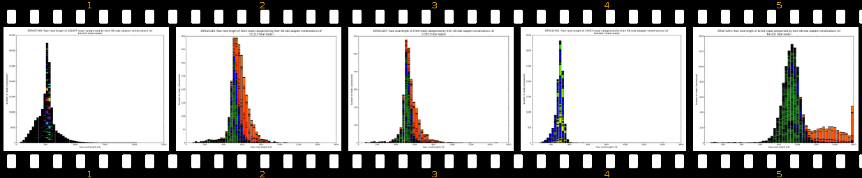 raw_read_lengths_AB-side_1