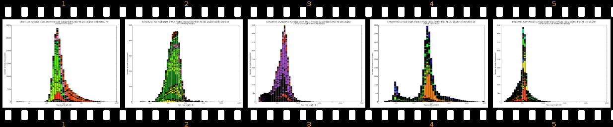 raw_read_lengths_AB-side_3