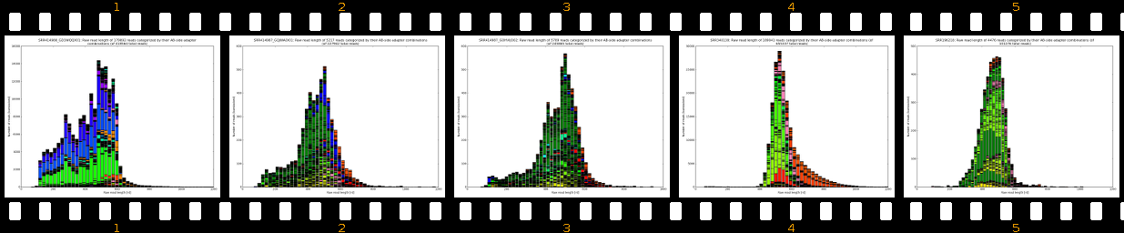 raw_read_lengths_AB-side_4