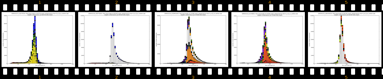 raw_read_lengths_A_or_B_or_neither-side_1