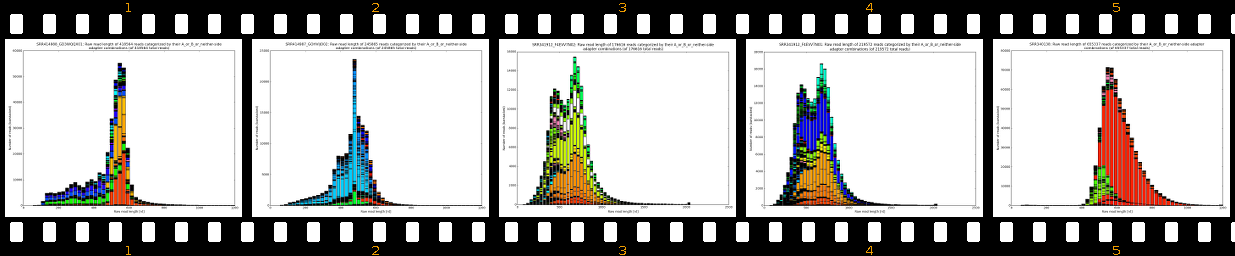 raw_read_lengths_A_or_B_or_neither-side_2