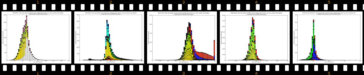 raw_read_lengths_A_or_B_or_neither-side_3