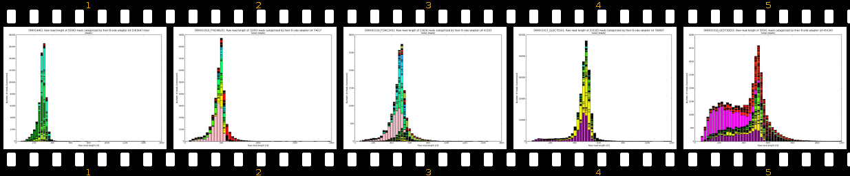 raw_read_lengths_B-side_2