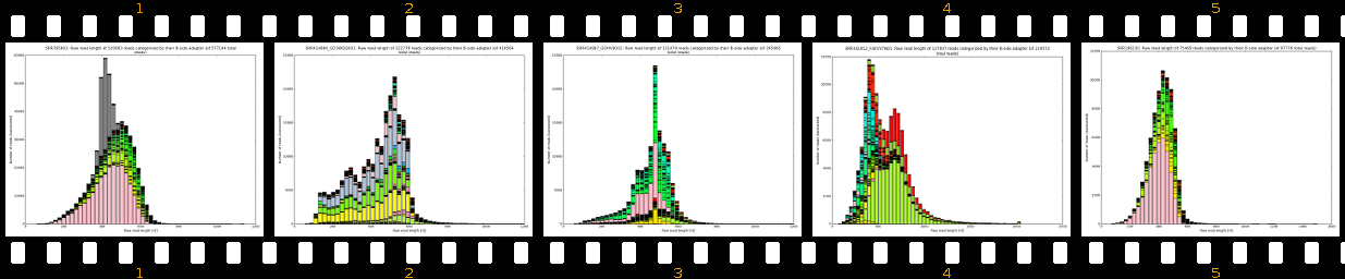 raw_read_lengths_B-side_4