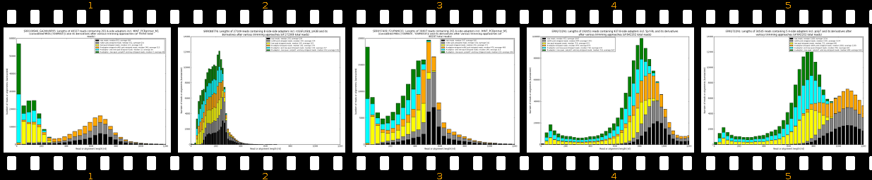 summarized_read_lengths_2